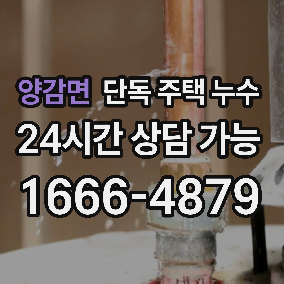양감면 단독 주택 누수 천장 얼룩이 동그랗게 퍼질 때 원인 추정