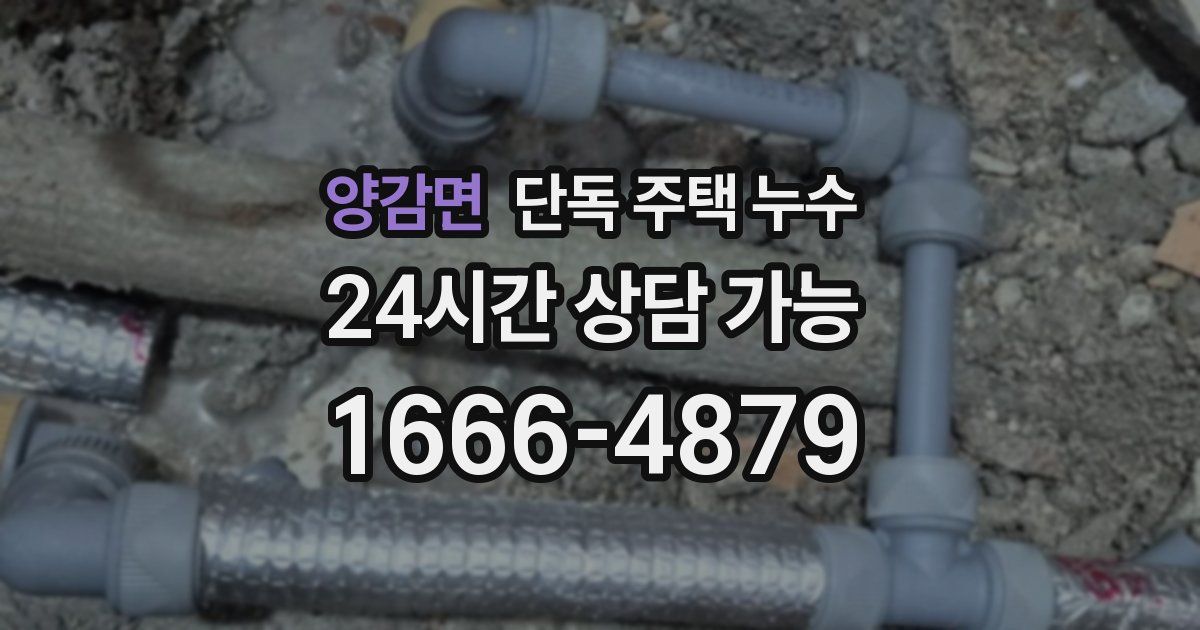 양감면 단독 주택 누수