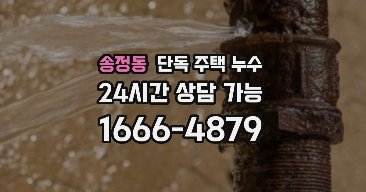 송정동 단독 주택 누수