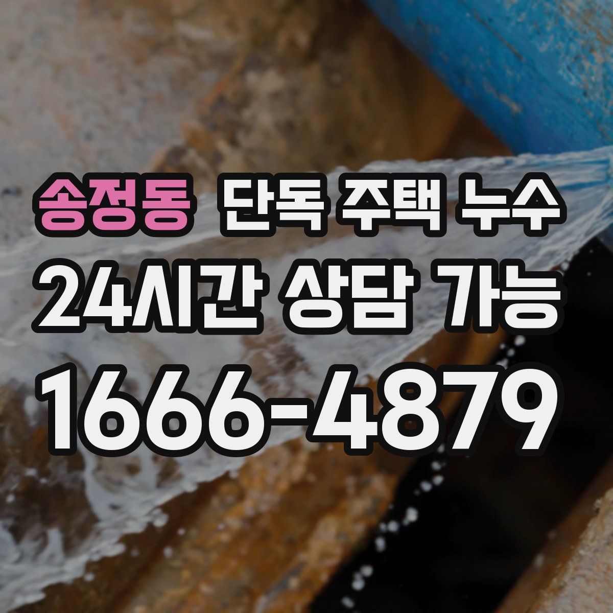 송정동 단독 주택 누수