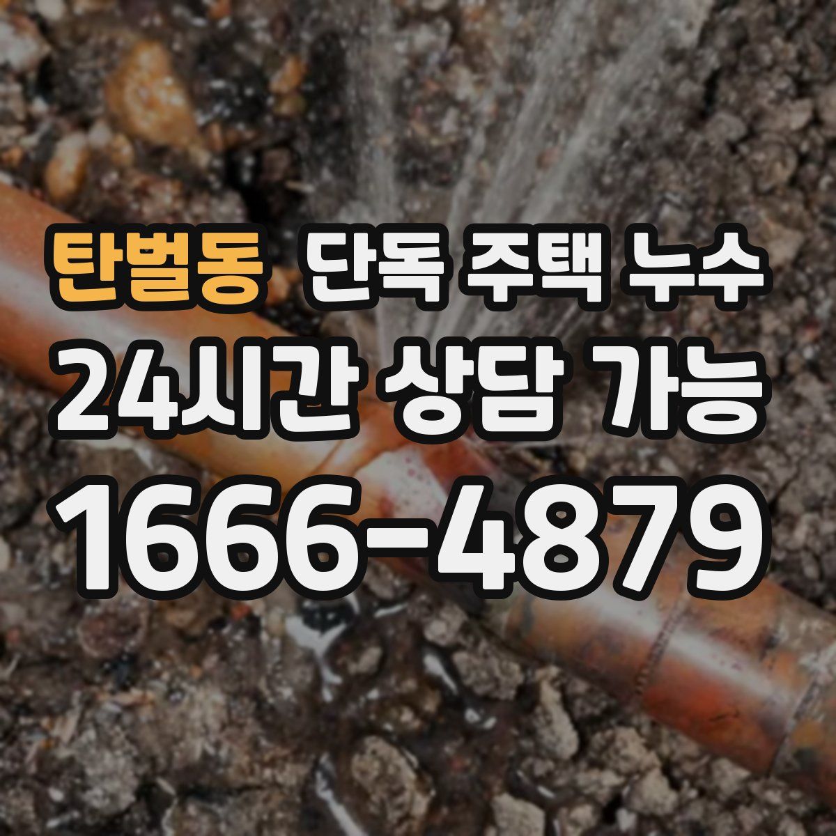 탄벌동 단독 주택 누수