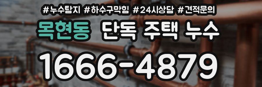 목현동 단독 주택 누수