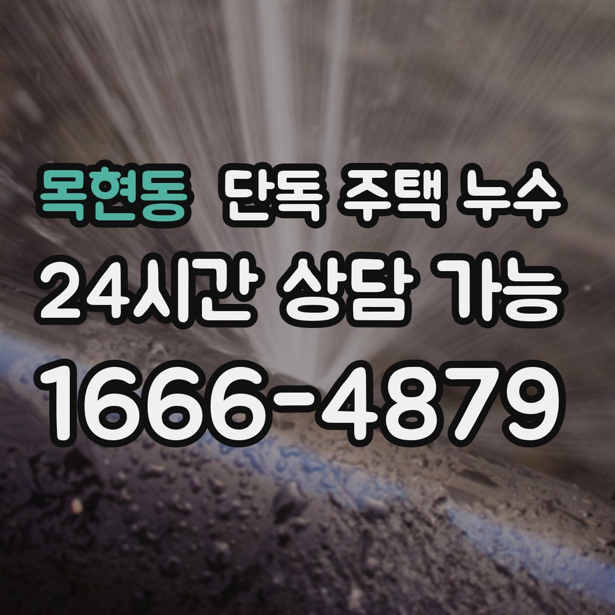 목현동 단독 주택 누수