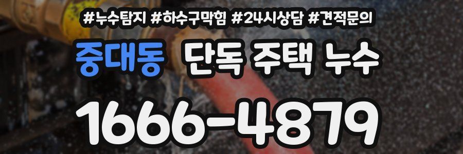 중대동 단독 주택 누수