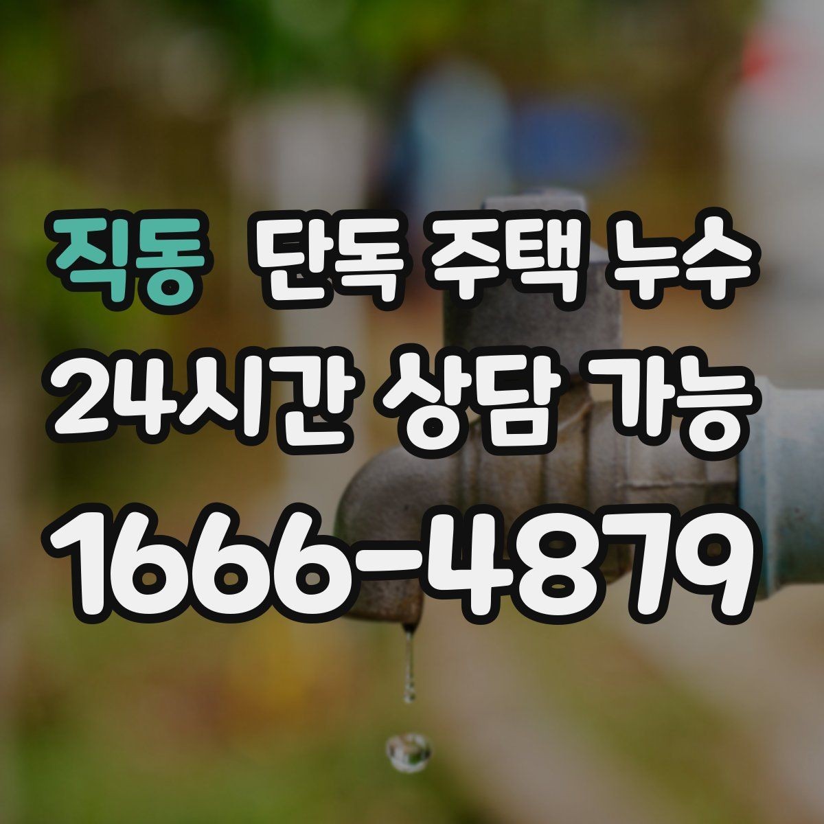 직동 단독 주택 누수 주방 싱크대 아래 물 고임 원인 찾기