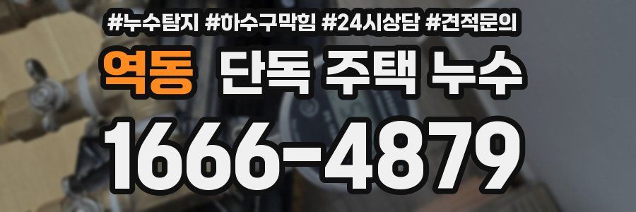 역동 단독 주택 누수