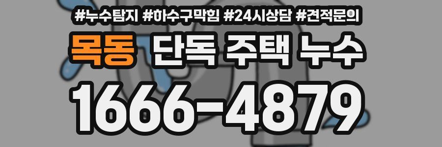 목동 단독 주택 누수