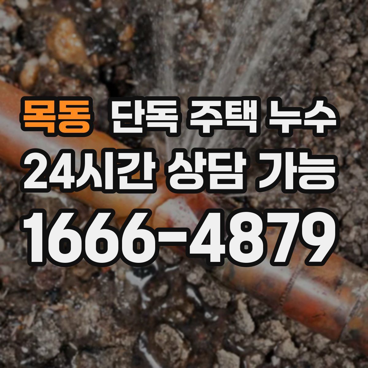 목동 단독 주택 누수