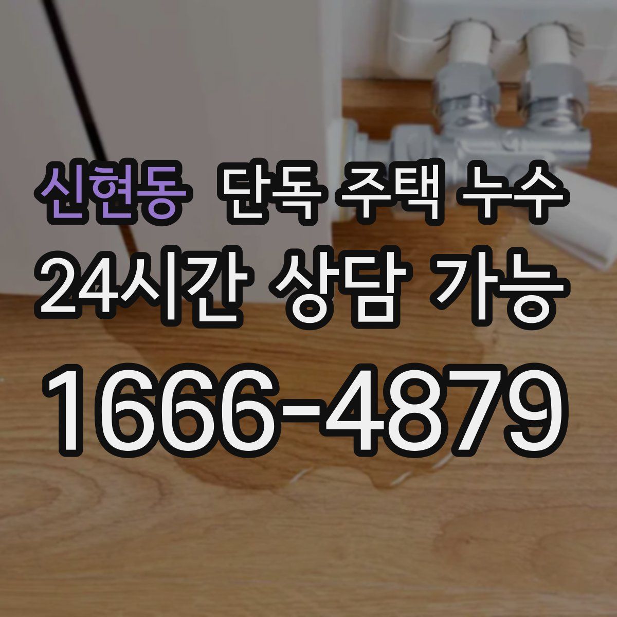 신현동 단독 주택 누수