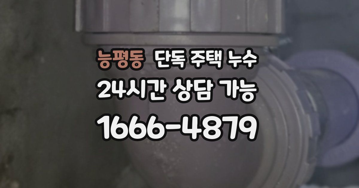 능평동 단독 주택 누수