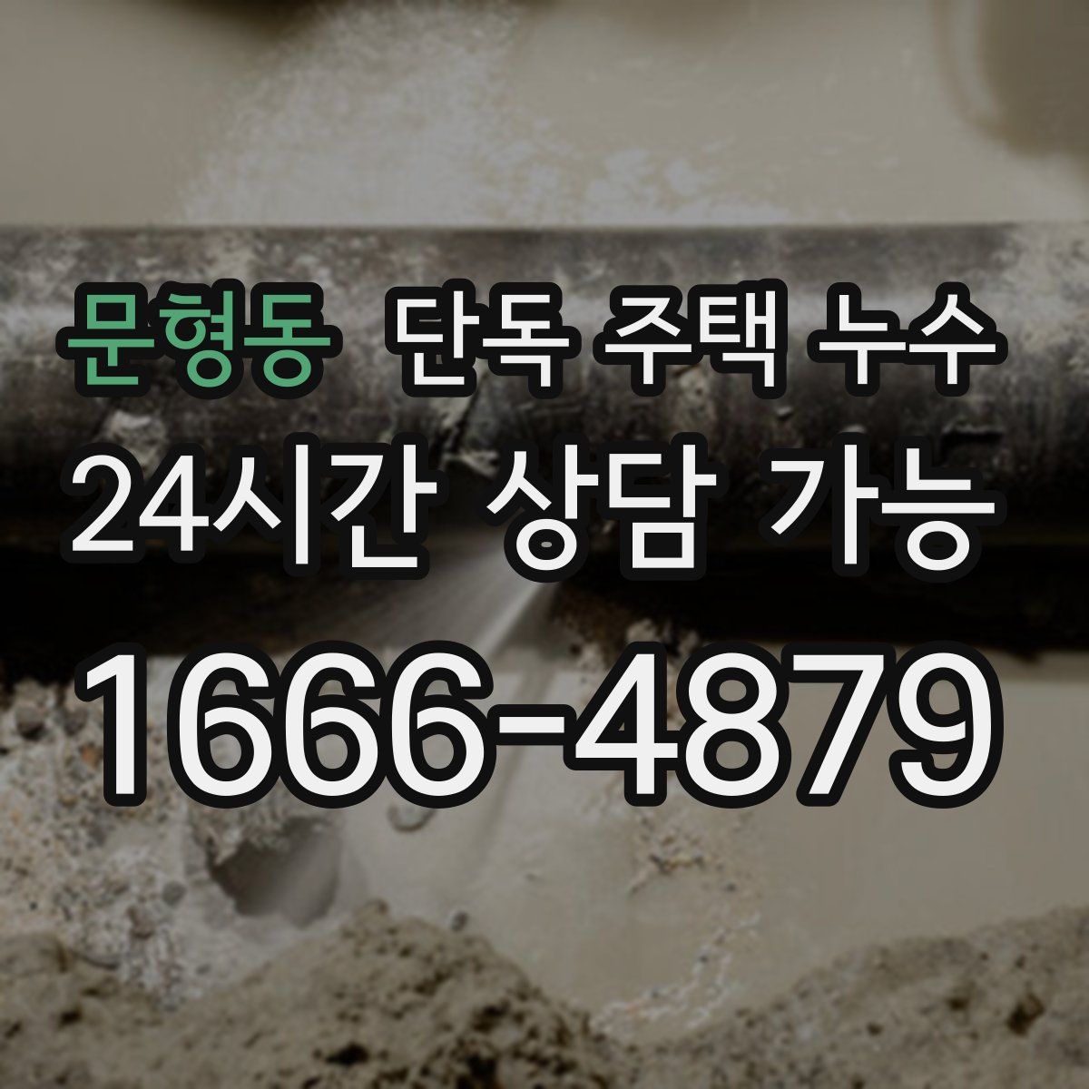 문형동 단독 주택 누수