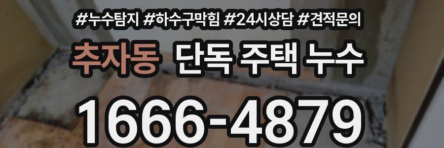추자동 단독 주택 누수