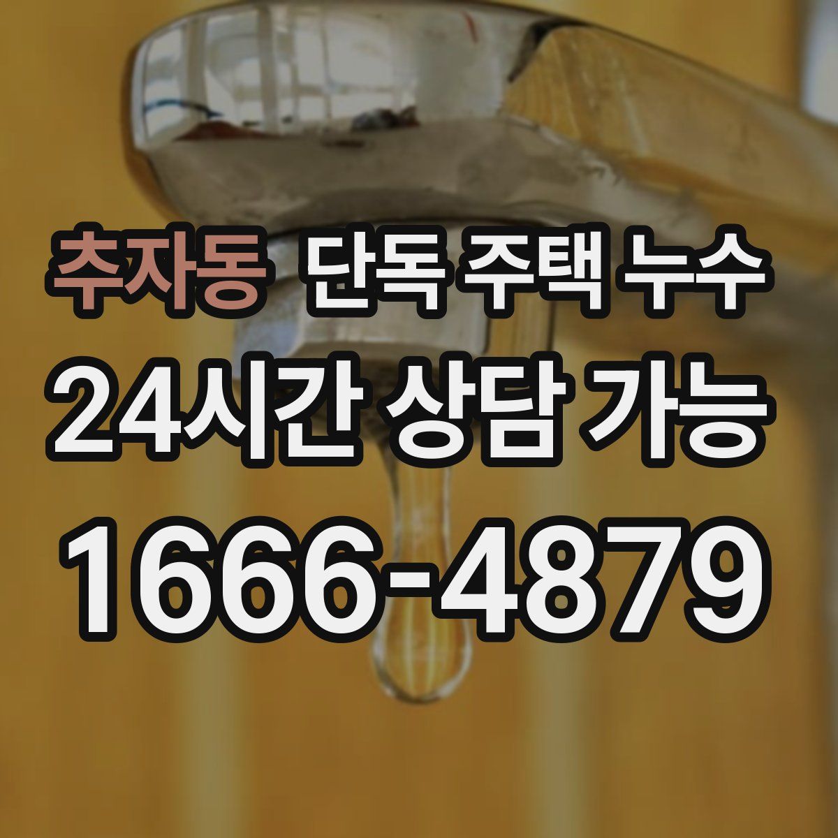 추자동 단독 주택 누수