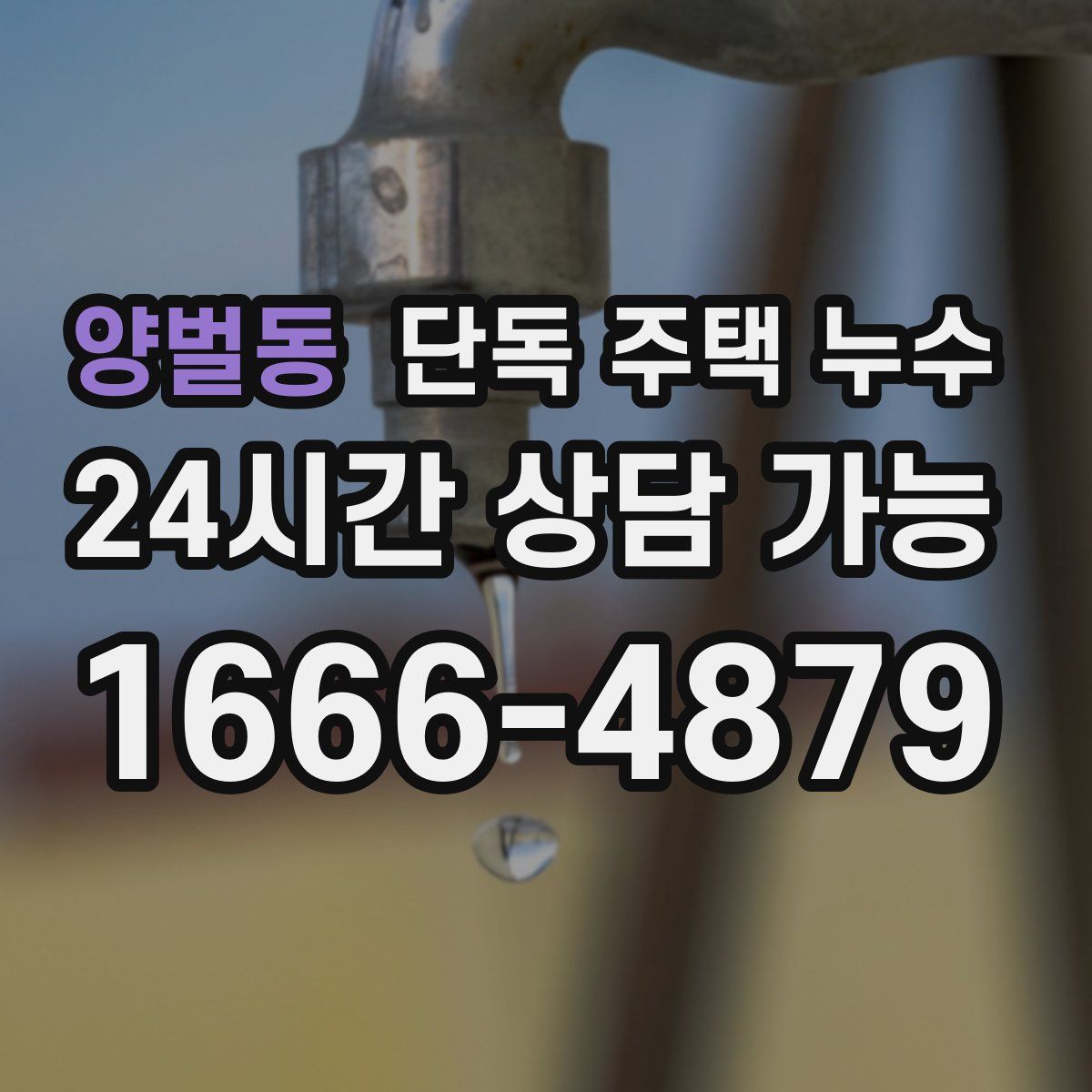 양벌동 단독 주택 누수