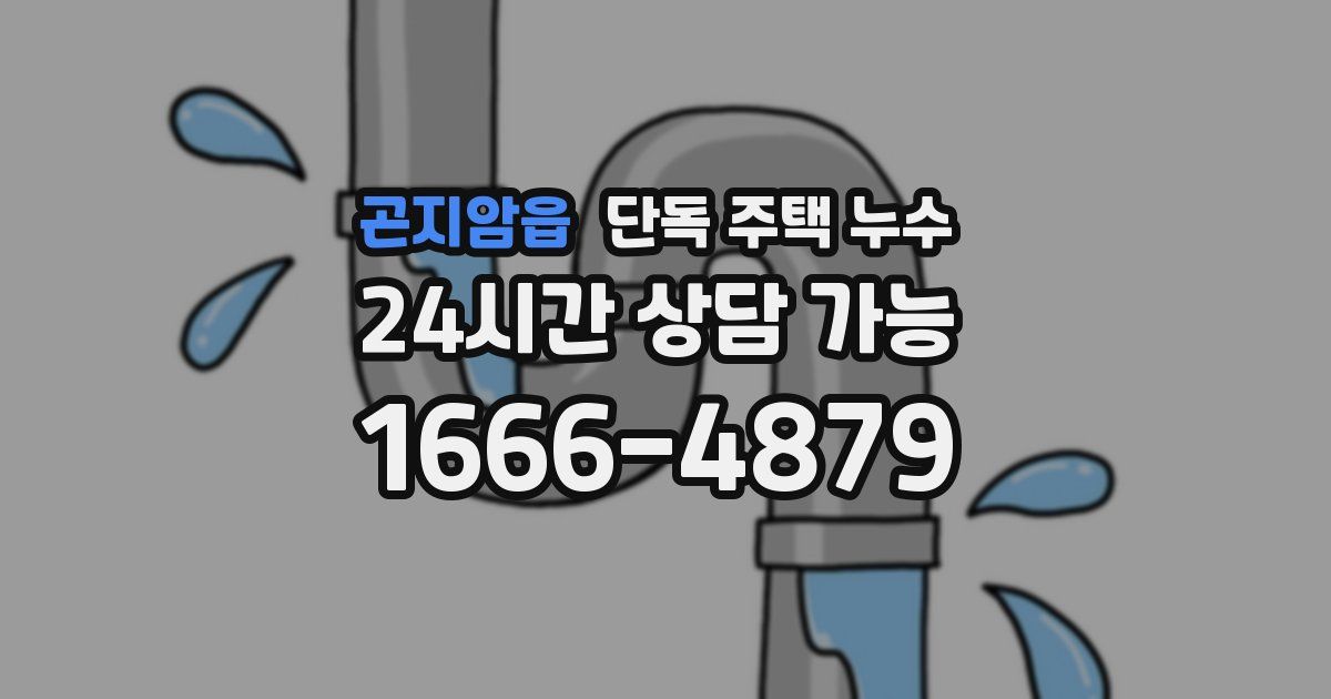 곤지암읍 단독 주택 누수