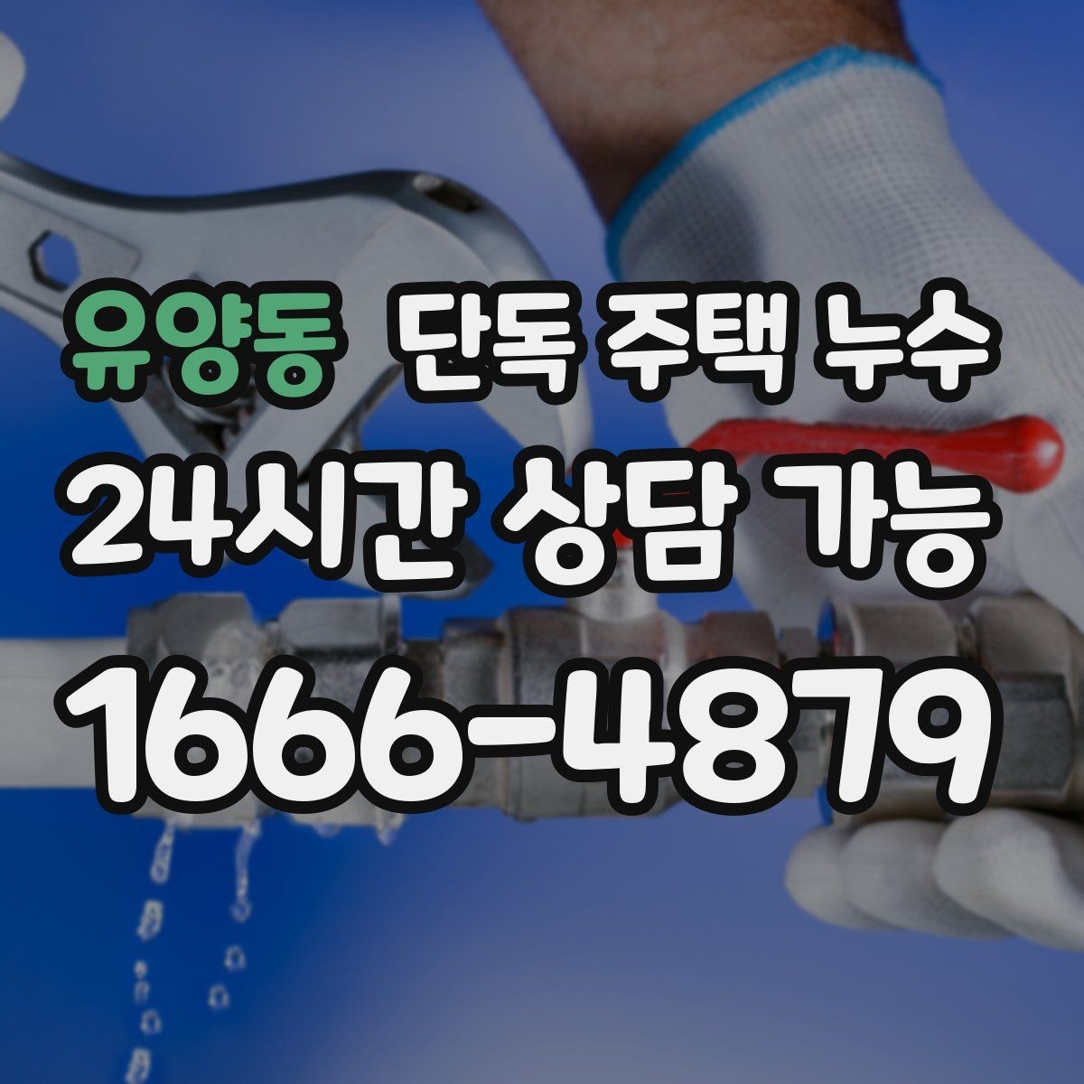유양동 단독 주택 누수 천장 얼룩이 생겼을 때 확인할 순서