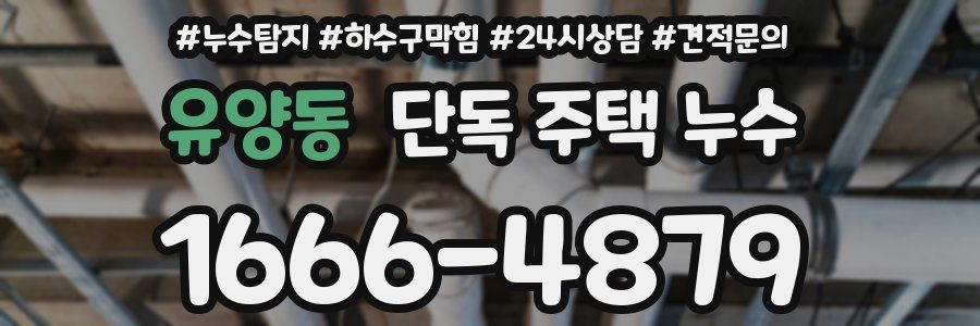 유양동 단독 주택 누수