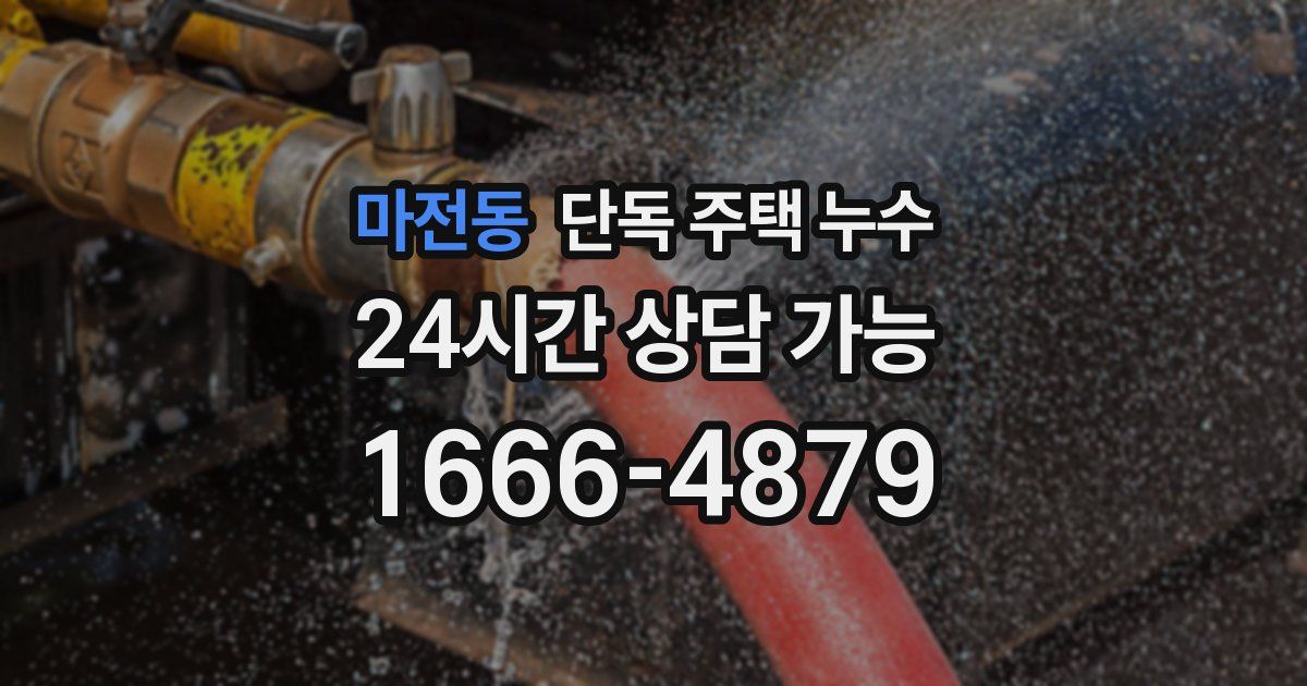 마전동 단독 주택 누수