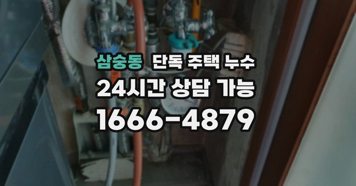 삼숭동 단독 주택 누수