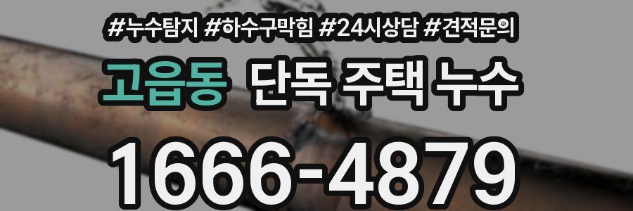 고읍동 단독 주택 누수