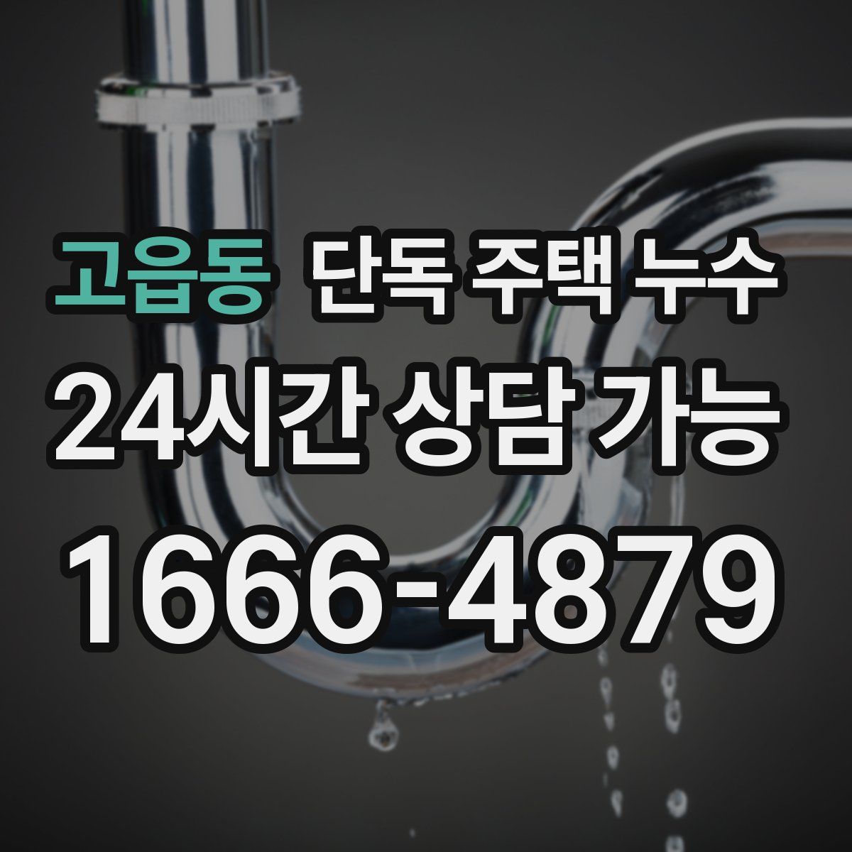 고읍동 단독 주택 누수