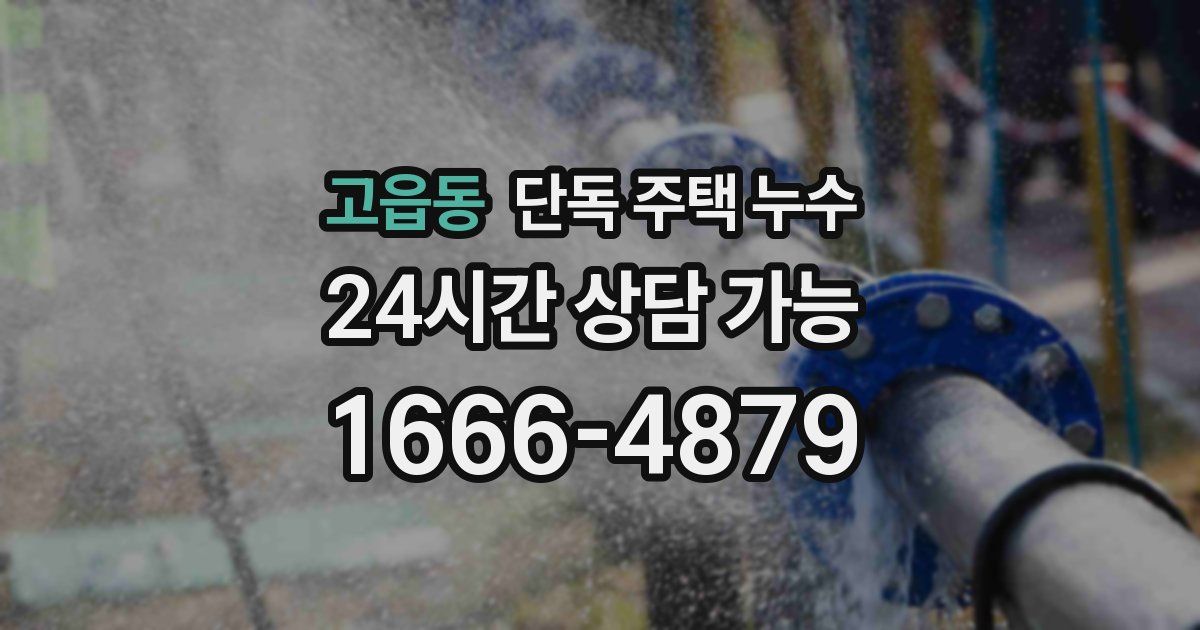 고읍동 단독 주택 누수