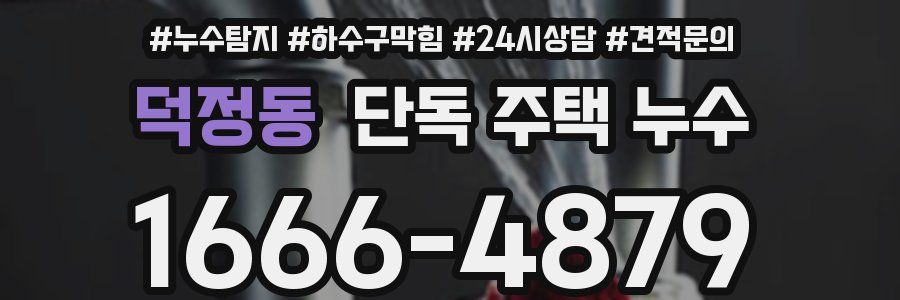 덕정동 단독 주택 누수