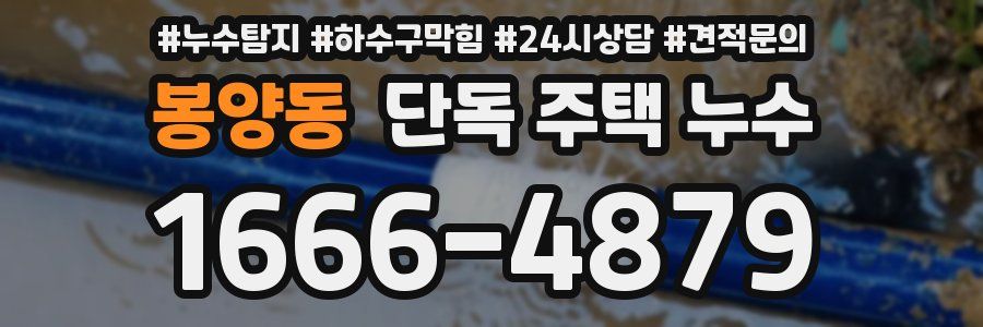 봉양동 단독 주택 누수