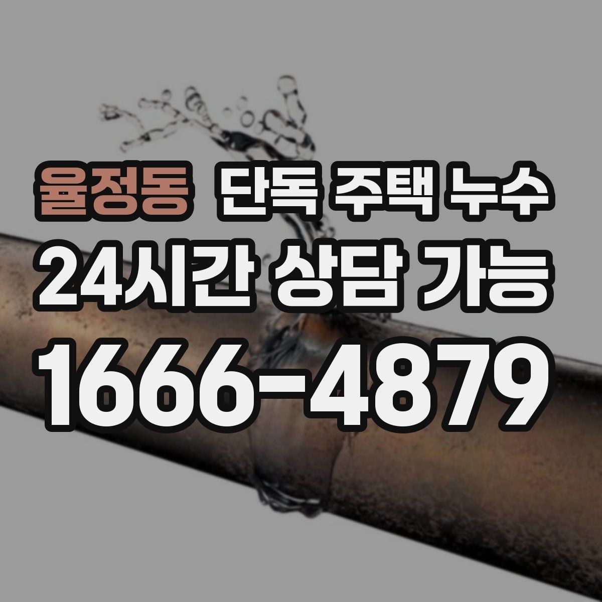 율정동 단독 주택 누수