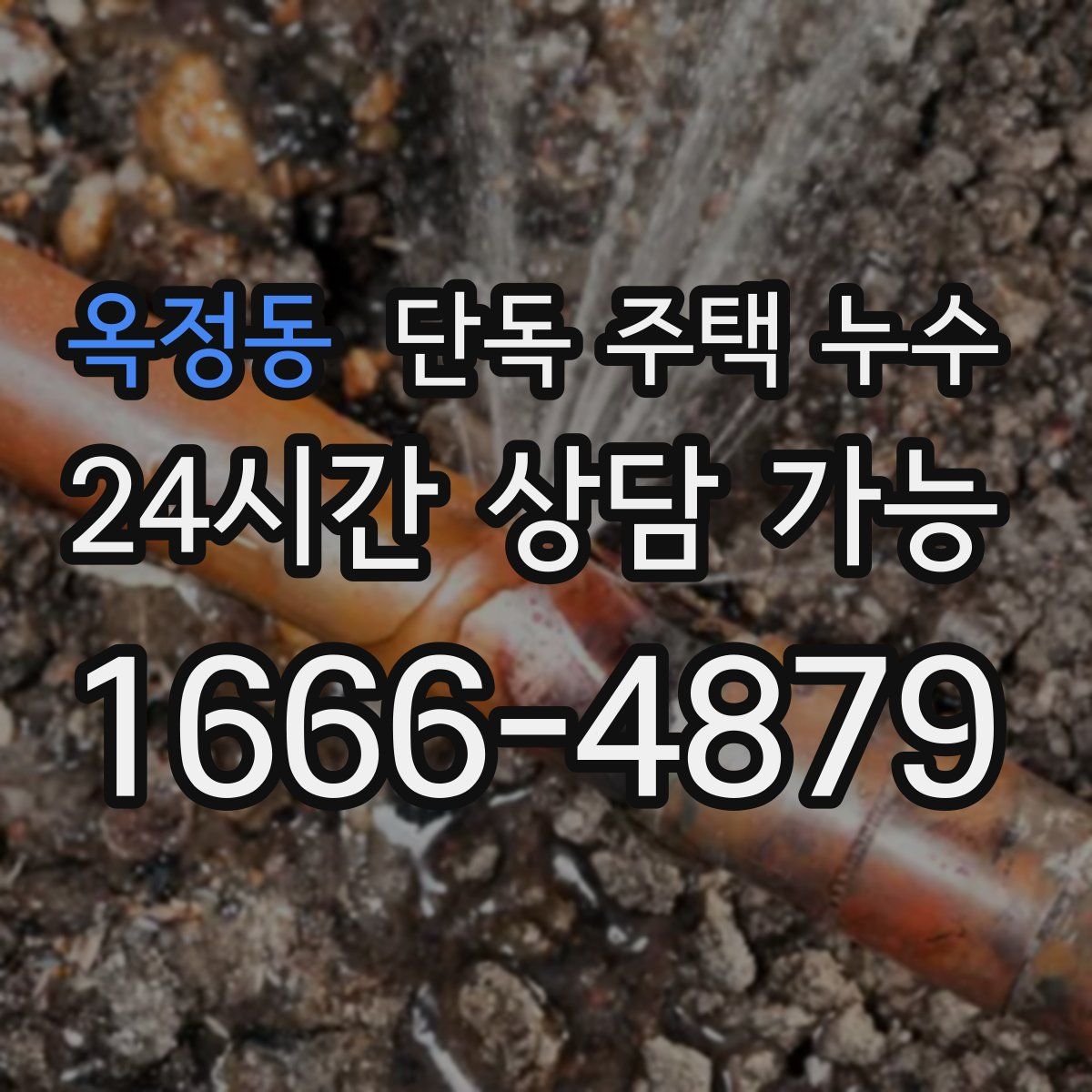 옥정동 단독 주택 누수