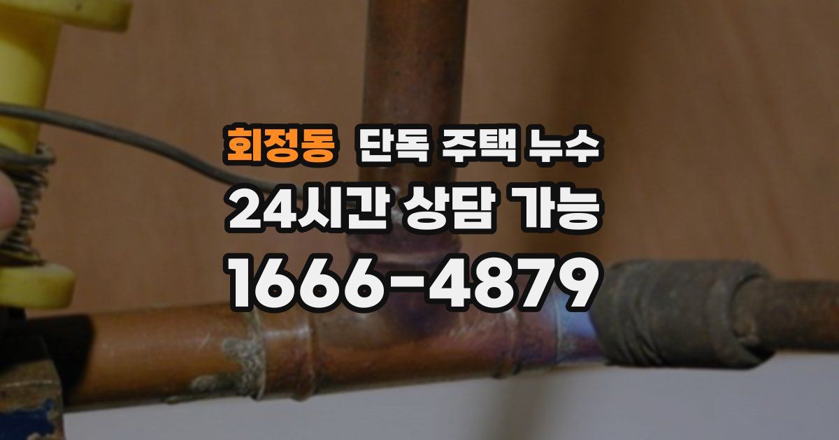 회정동 단독 주택 누수