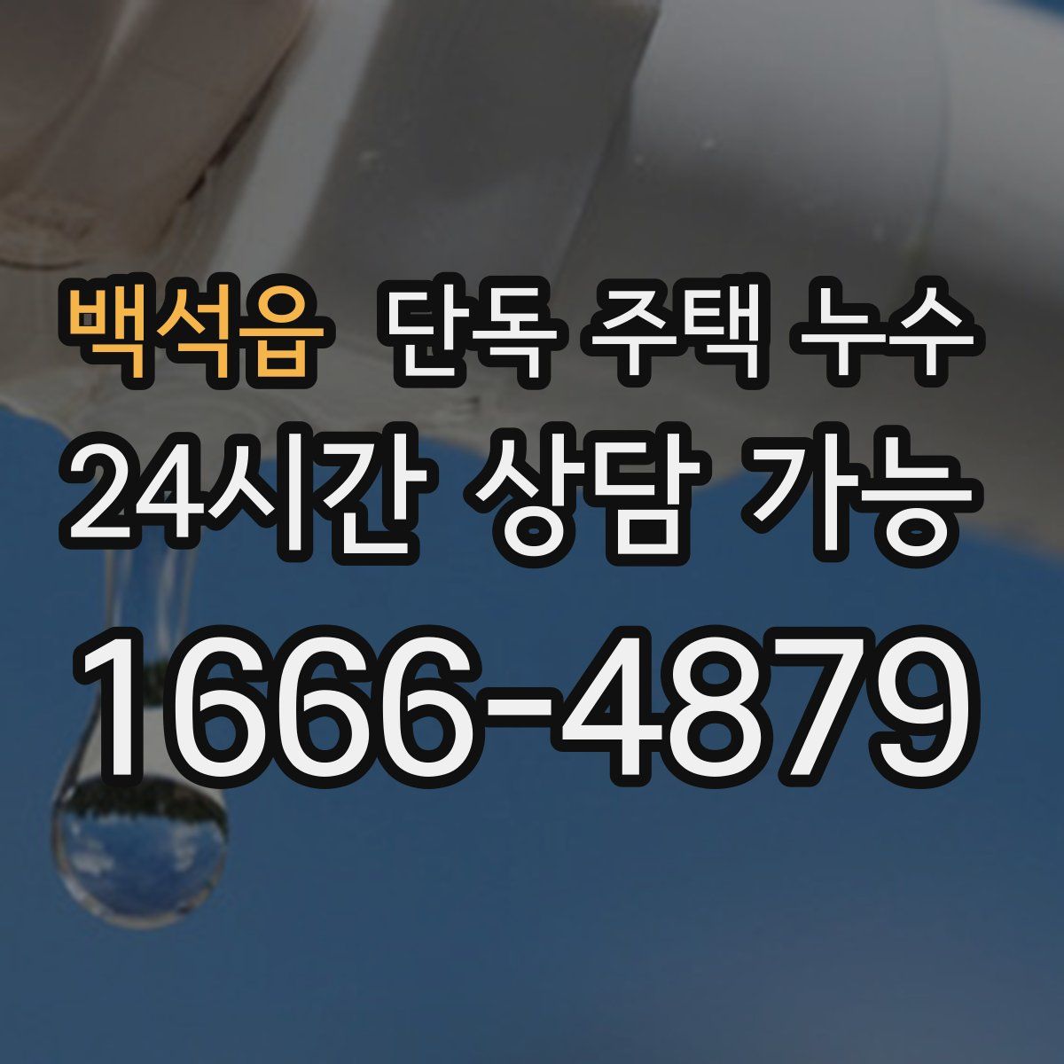 백석읍 단독 주택 누수