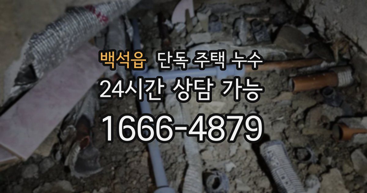 백석읍 단독 주택 누수