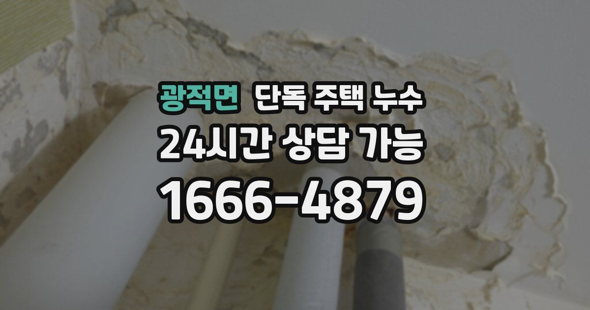 광적면 단독 주택 누수