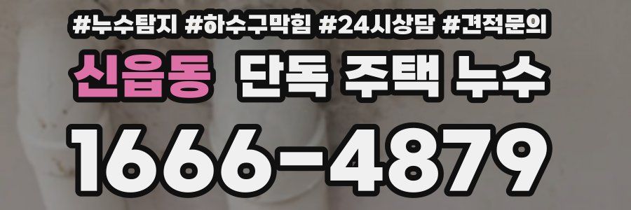 신읍동 단독 주택 누수