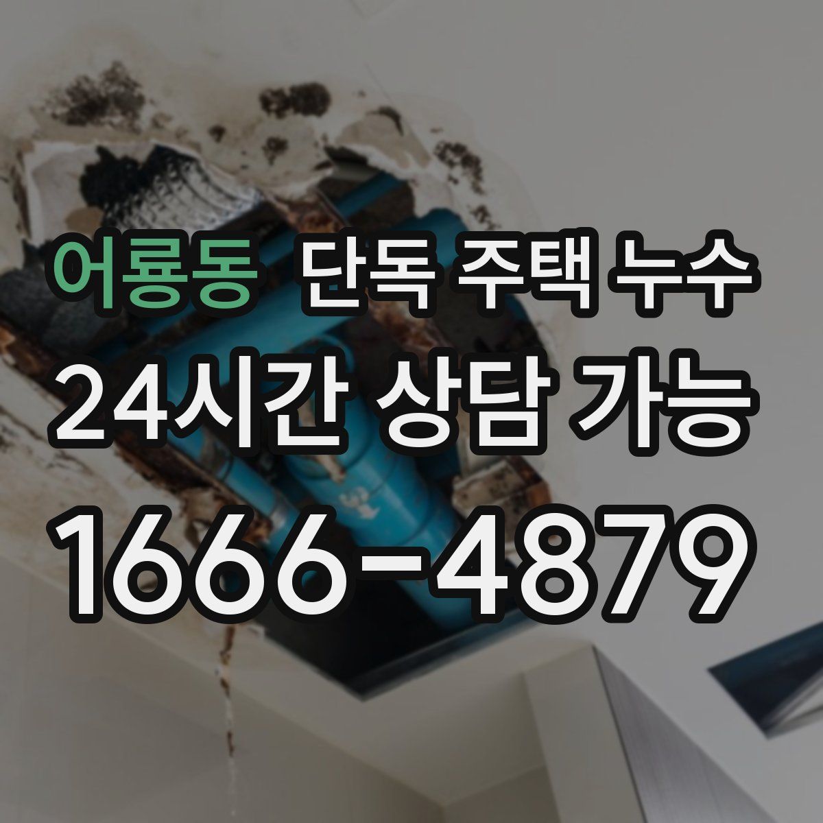 어룡동 단독 주택 누수