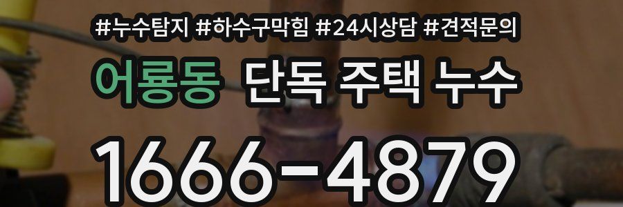 어룡동 단독 주택 누수