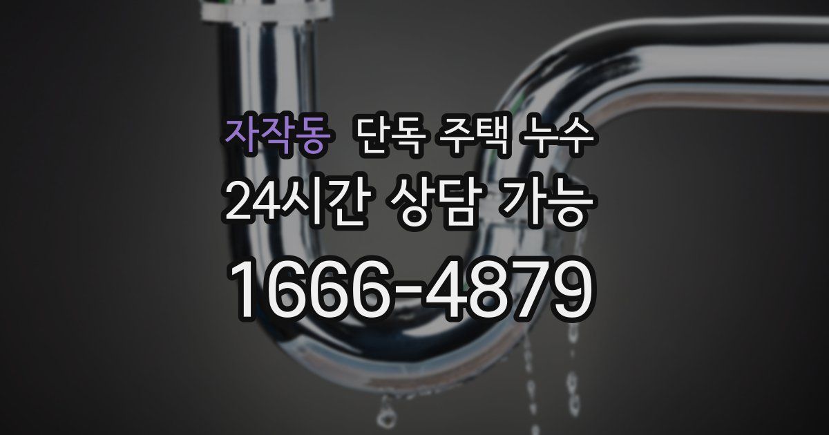자작동 단독 주택 누수