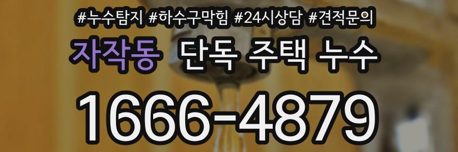 자작동 단독 주택 누수