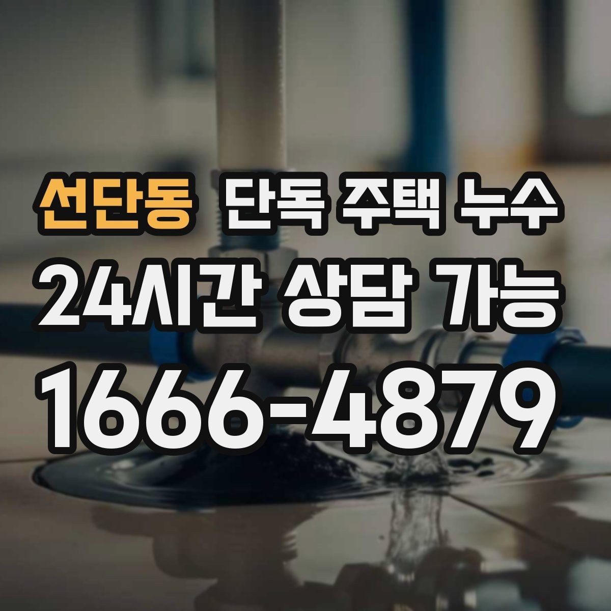 선단동 단독 주택 누수 누전 차단기 내려갈 때 같이 확인할 점