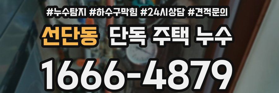 선단동 단독 주택 누수