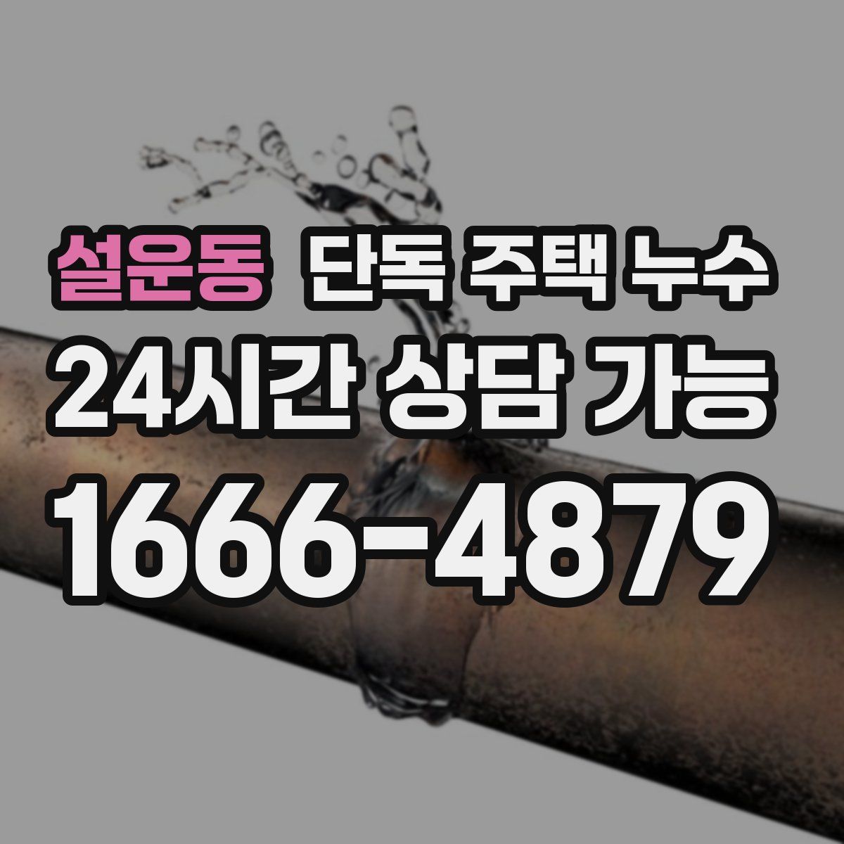 설운동 단독 주택 누수