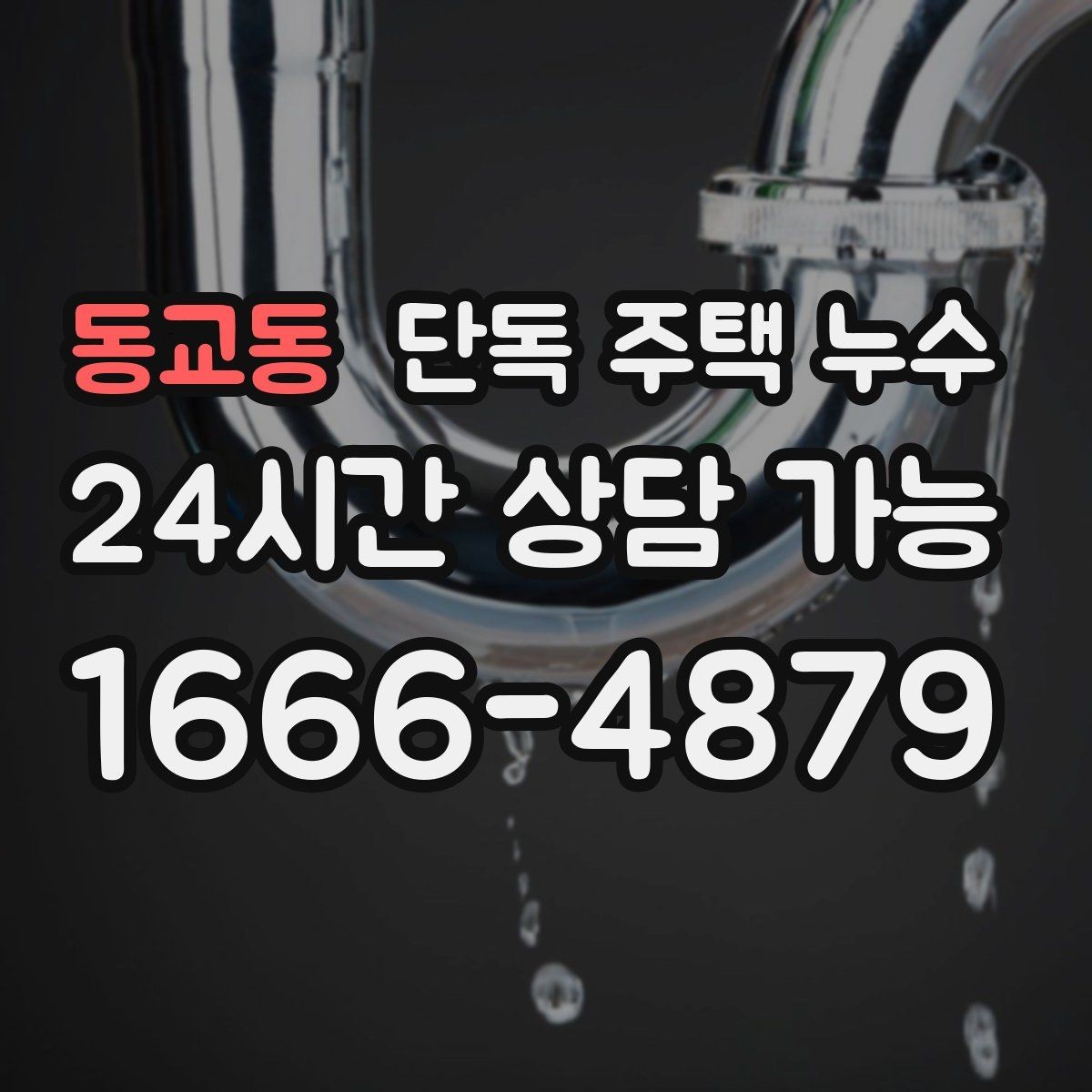 동교동 단독 주택 누수 장판 아래 물이 차오르는 느낌일 때