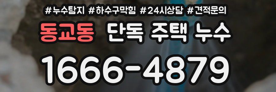 동교동 단독 주택 누수