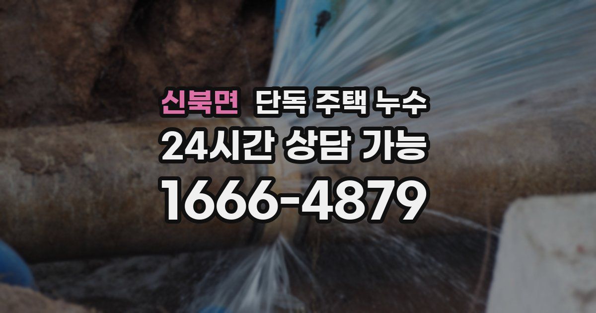 신북면 단독 주택 누수