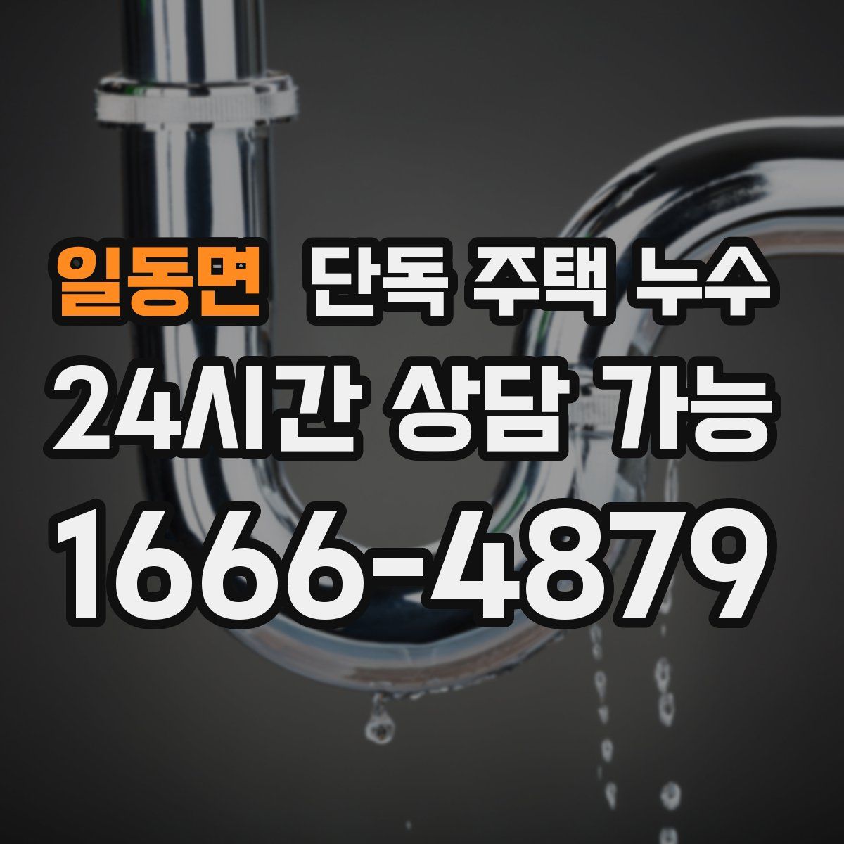 일동면 단독 주택 누수