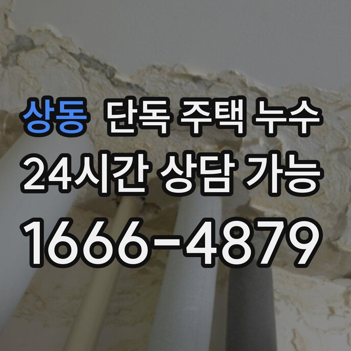 상동 단독 주택 누수 기초부 주변이 젖는다면 확인할 점