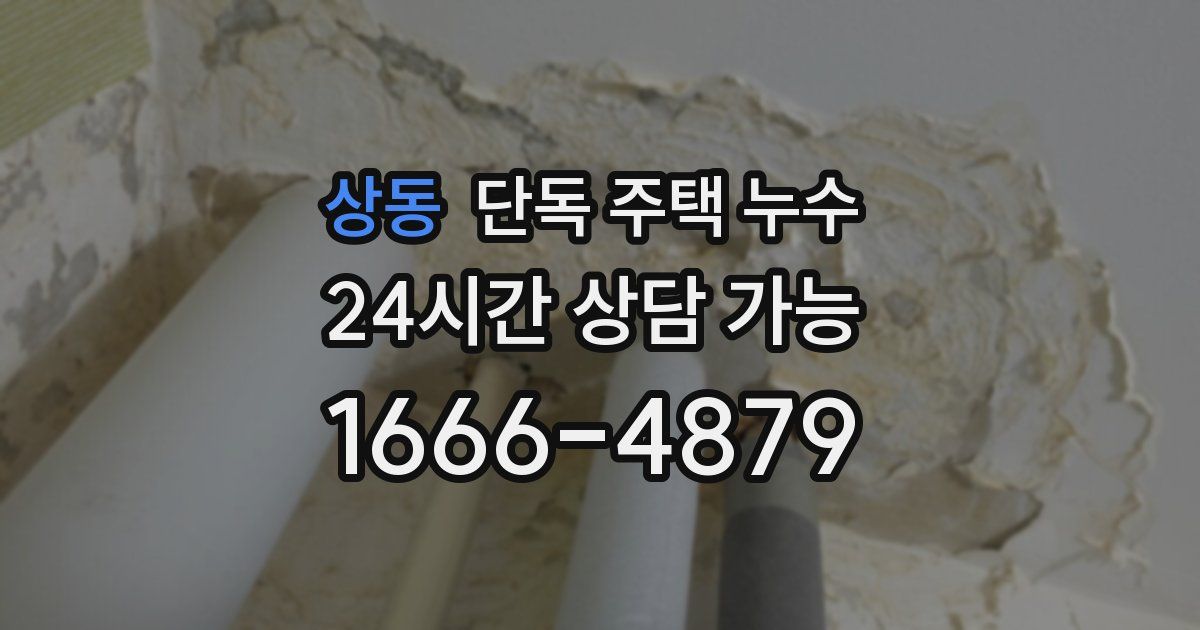 상동 단독 주택 누수