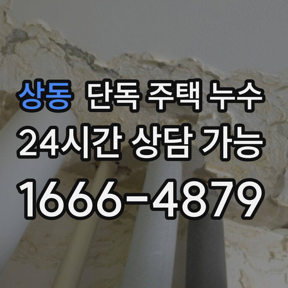 상동 단독 주택 누수