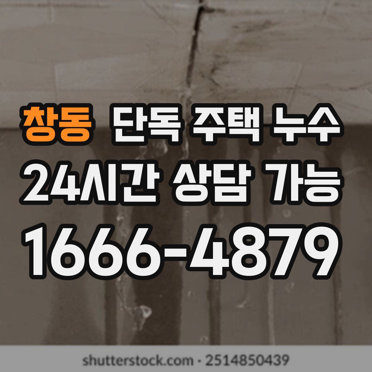 창동 단독 주택 누수